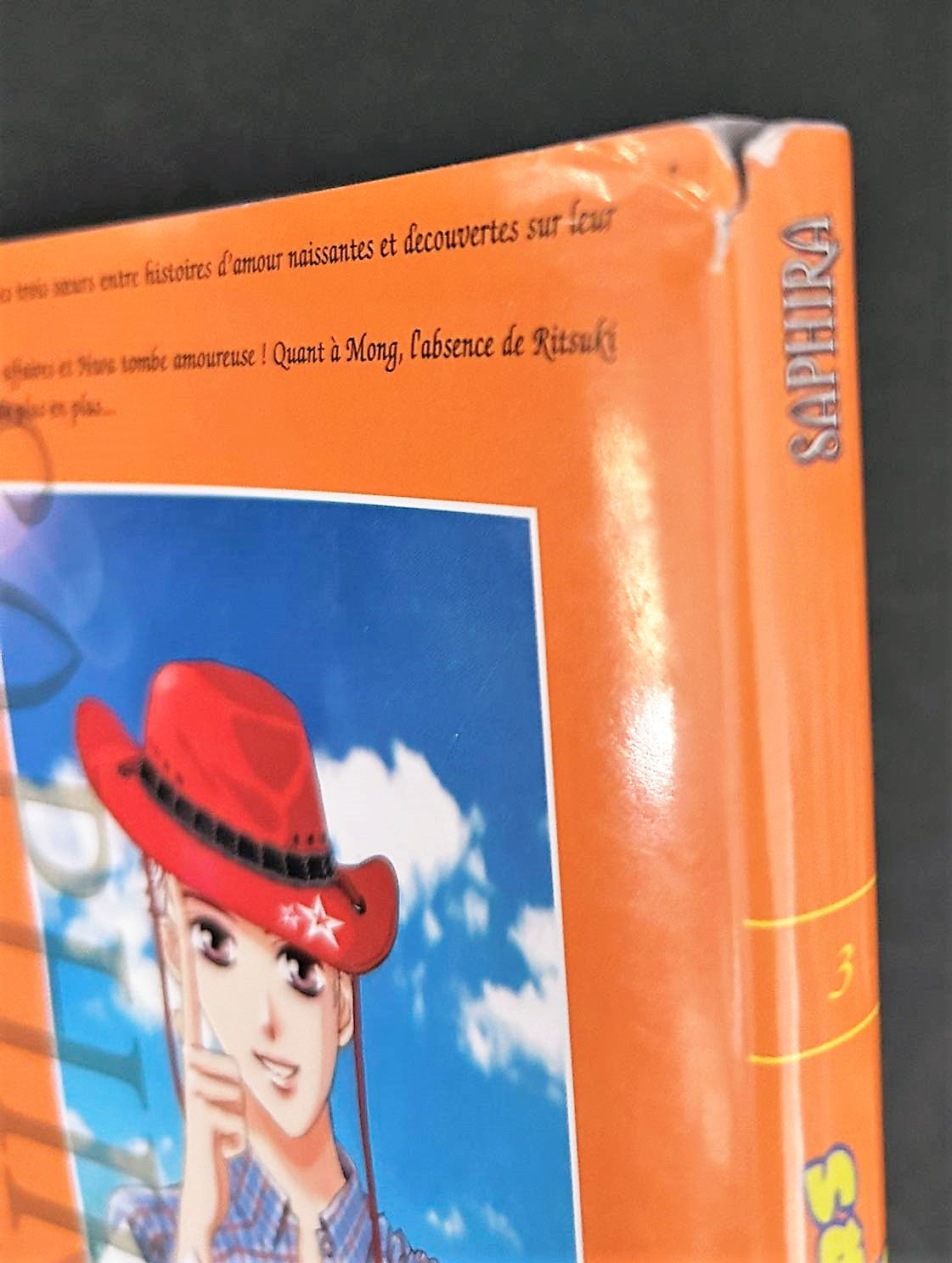 three twin sisters volume 3