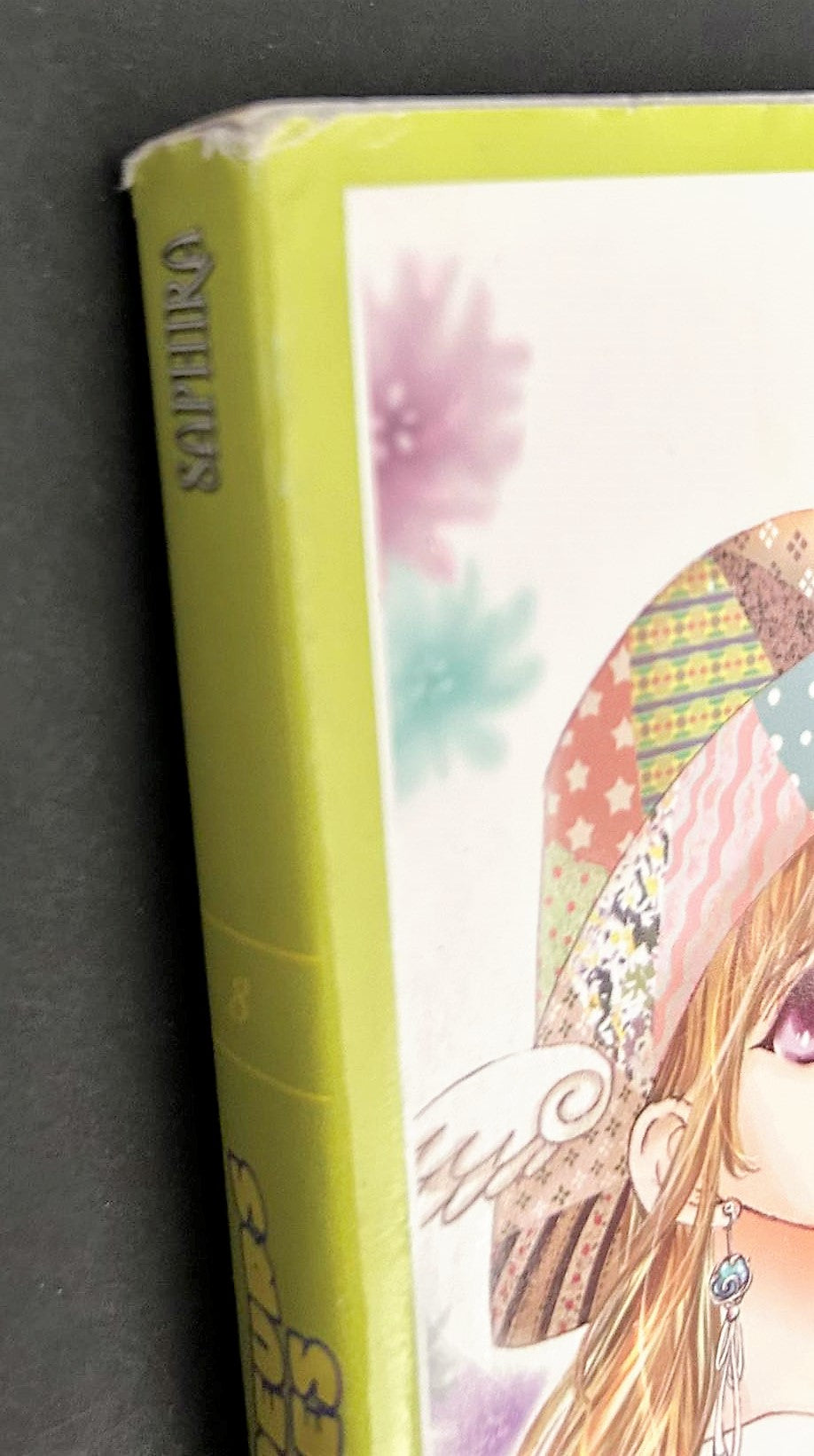 Three twin sisters volume 8