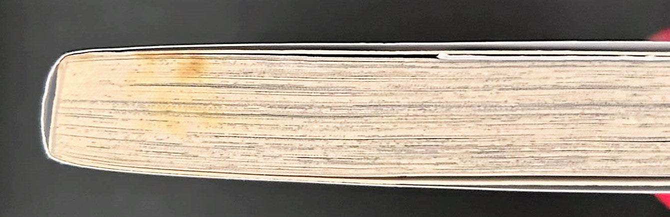 Three twin sisters volume 6