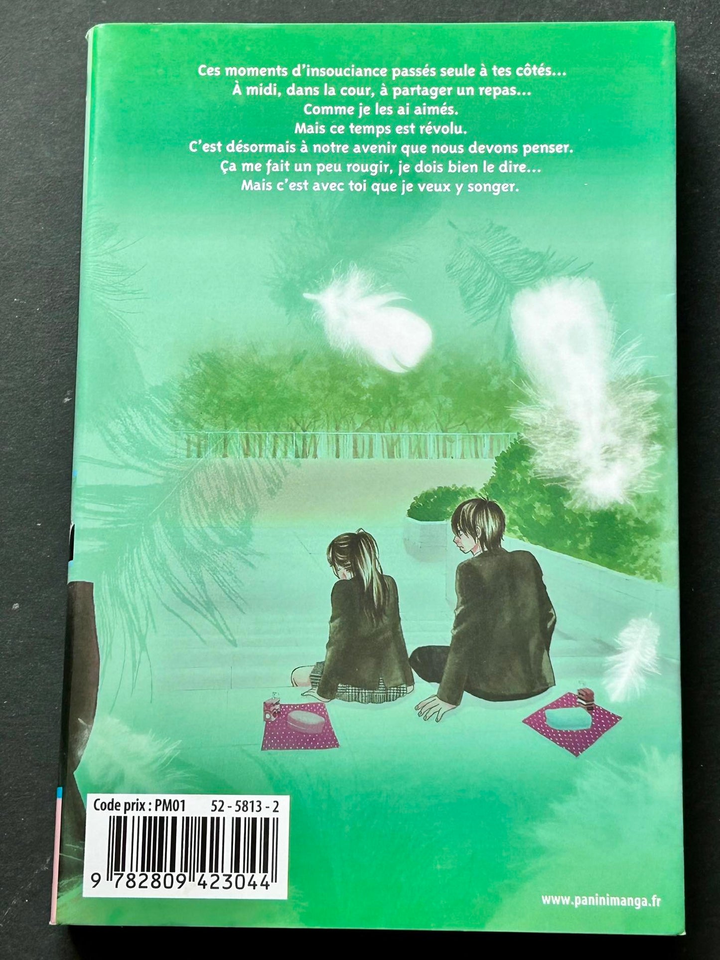 A romantic love story, tome 12