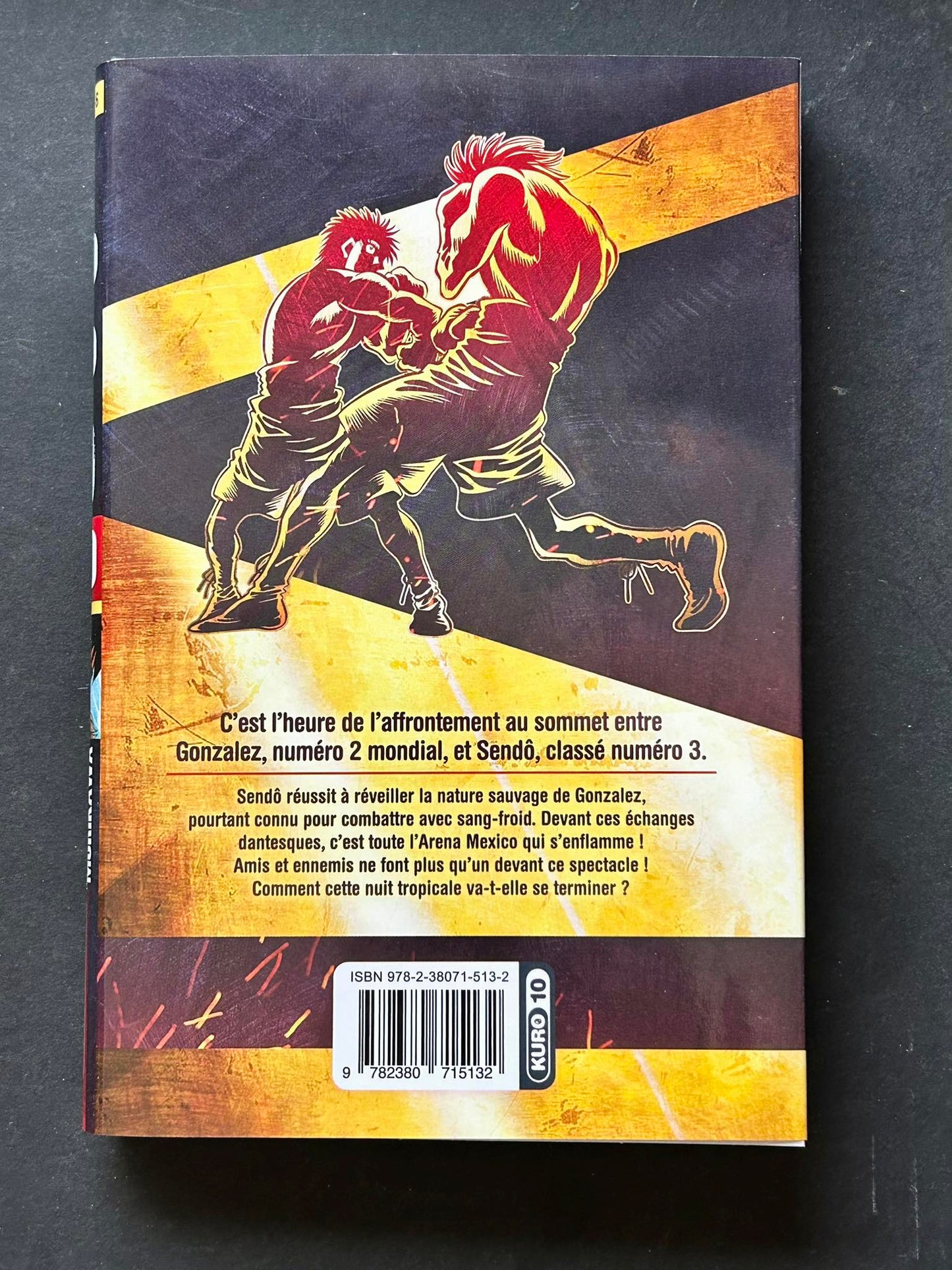 IPPO - Tome 20 (Saison 6)