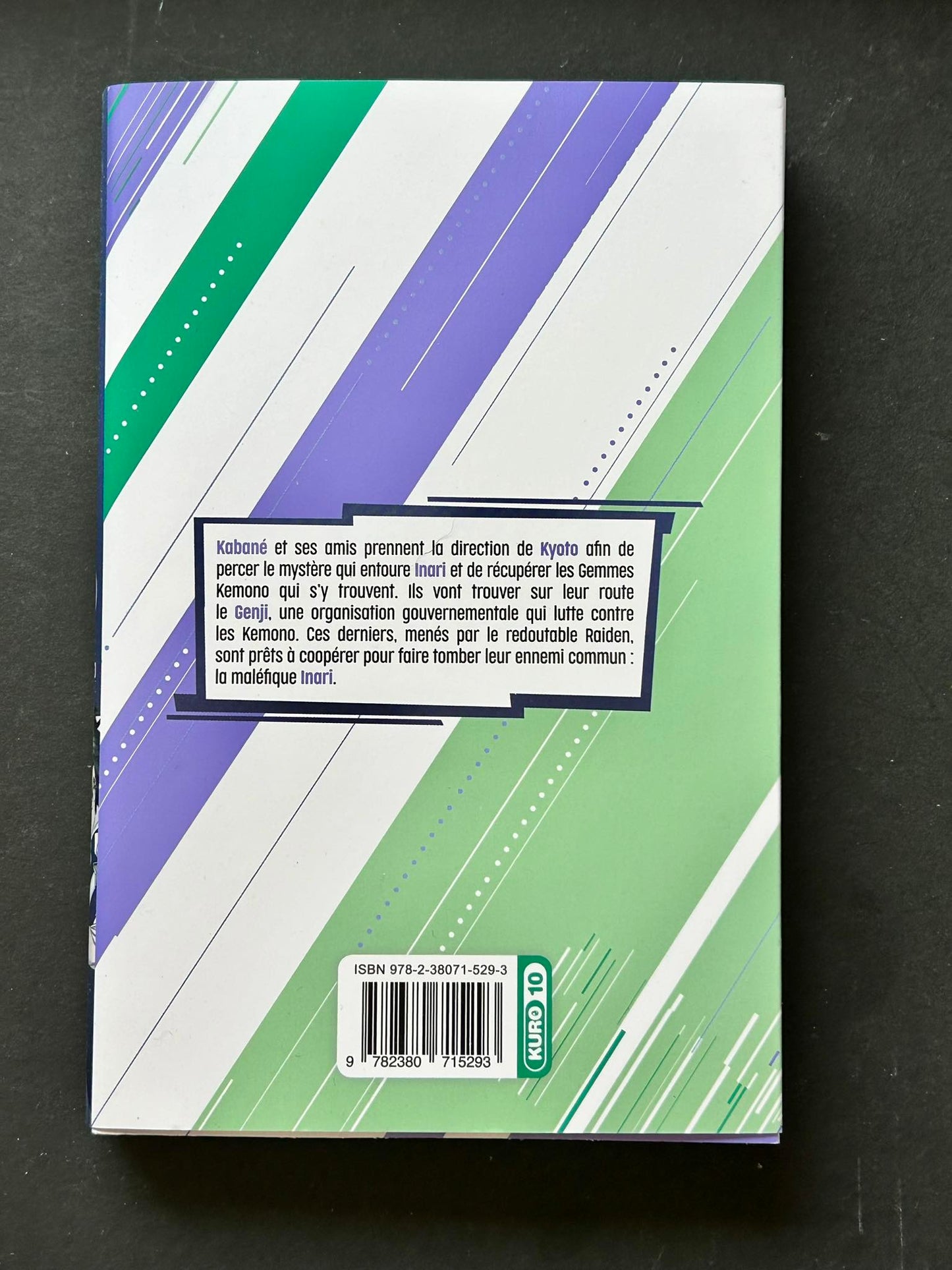 Kemono-incidenten - deel 16