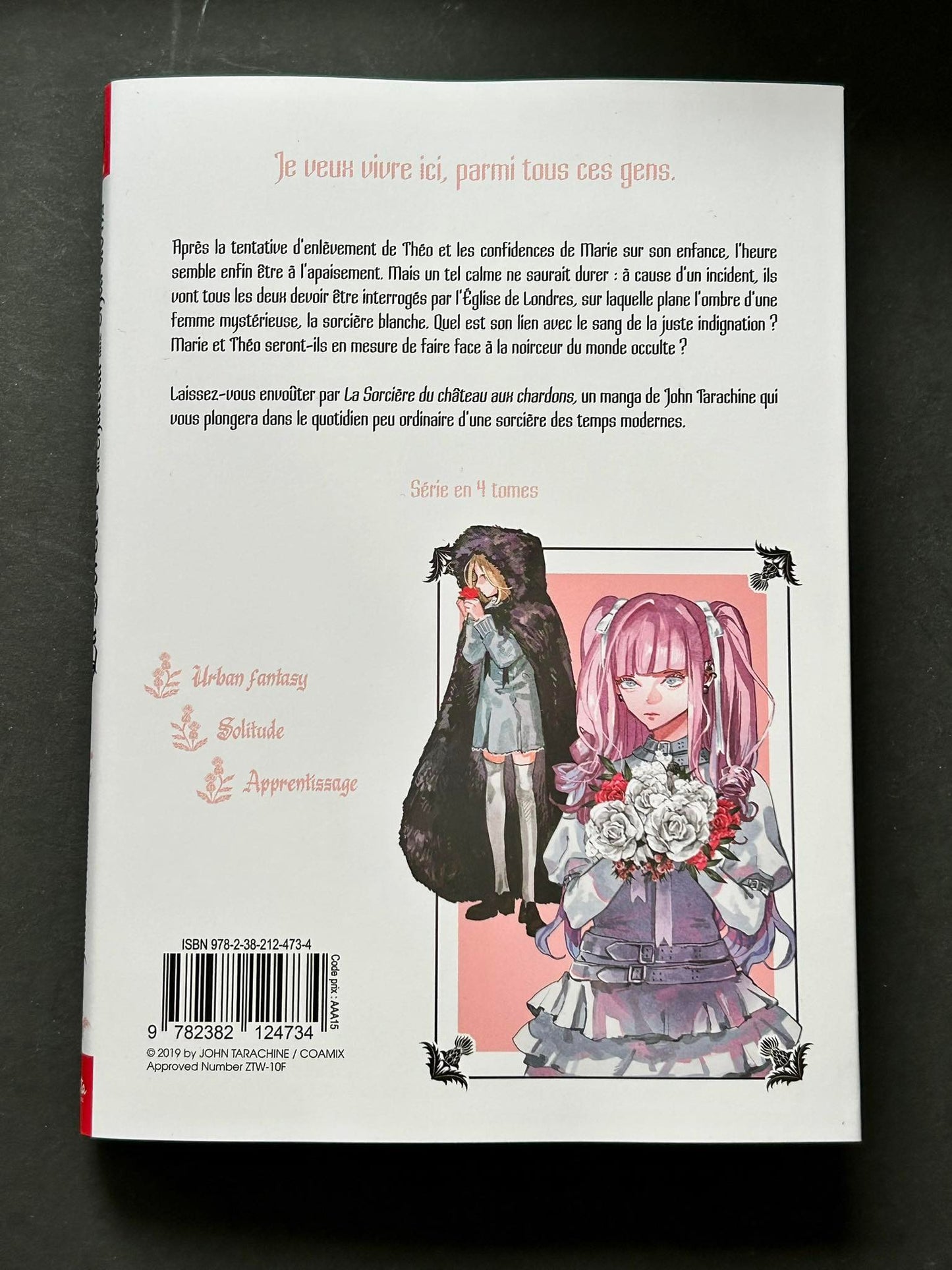 LA SORCIERE DU CHATEAU AUX CHARDONS - TOME 4