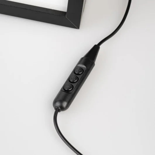 LES SIMPSONS - Homer - Cadre Lumineux LED 28x20x5cm