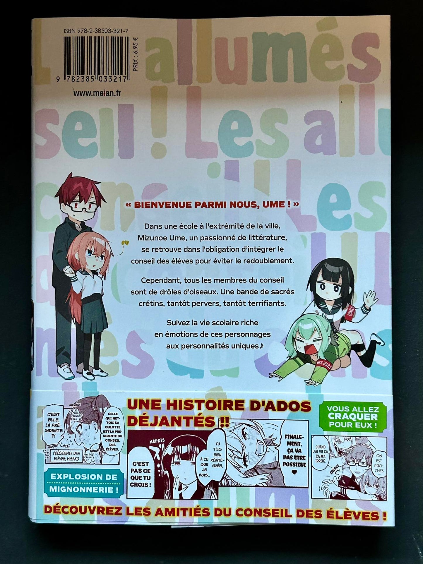 Les allumés du conseil ! - Tome 01
