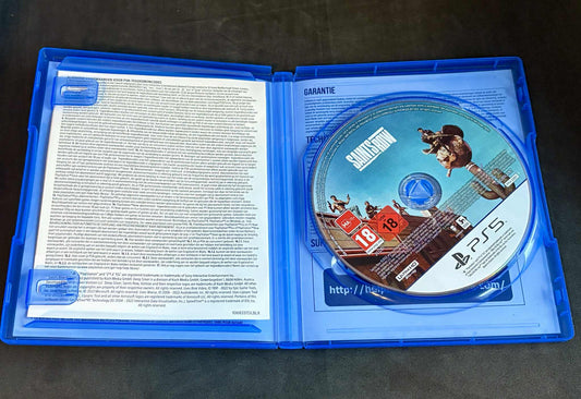PS5 > Saints Row