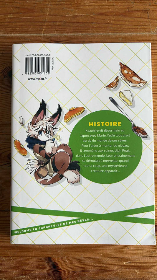 WELCOME TO JAPAN! ELFE DE MES RÊVES... - TOME 02