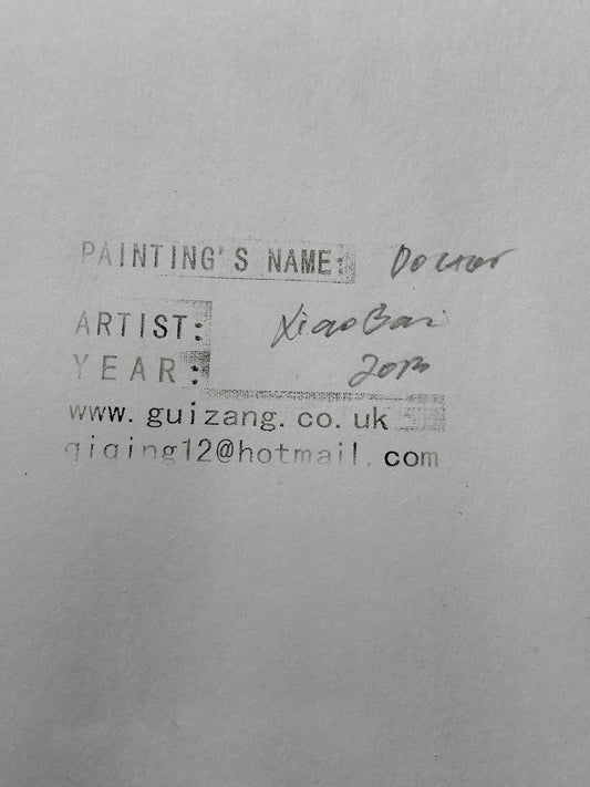 Xiao Bai Art Doctor 2013