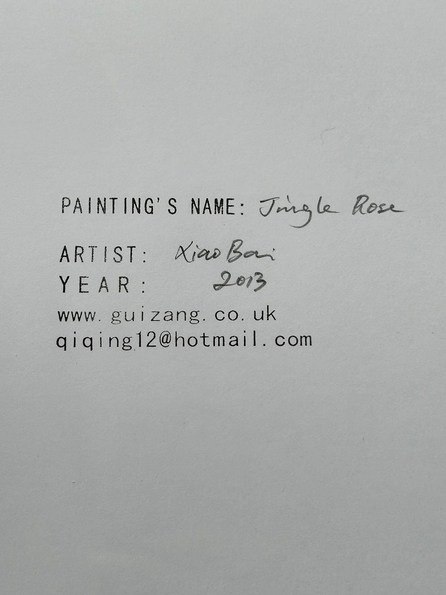Xiao Bai Art Jungle Pink 2013