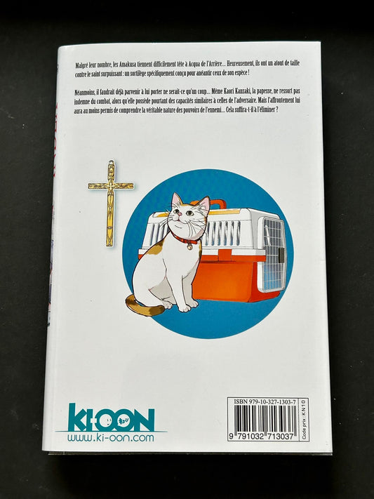 A CERTAIN MAGICAL INDEX T27