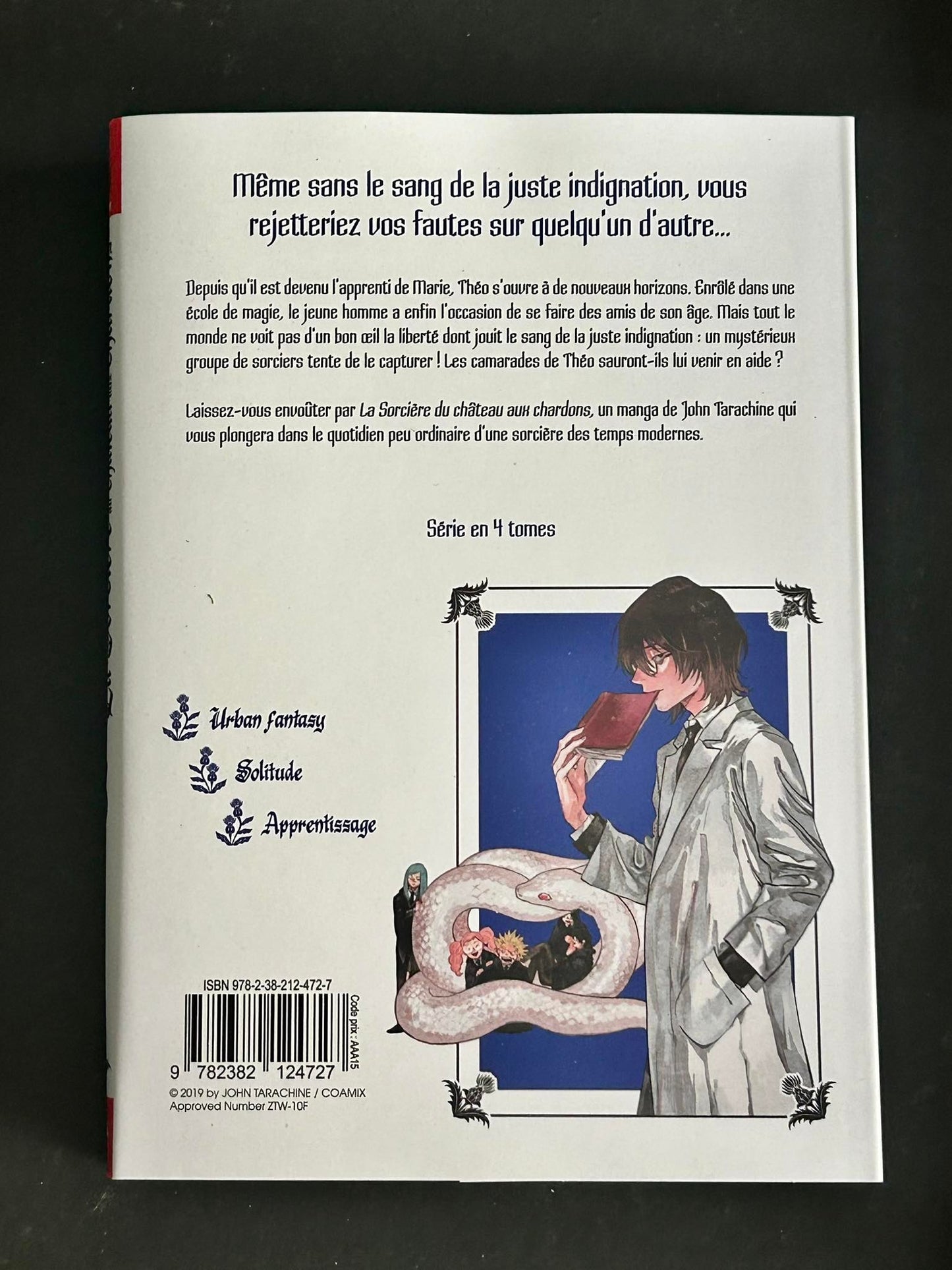 LA SORCIERE DU CHATEAU AUX CHARDONS - TOME 3