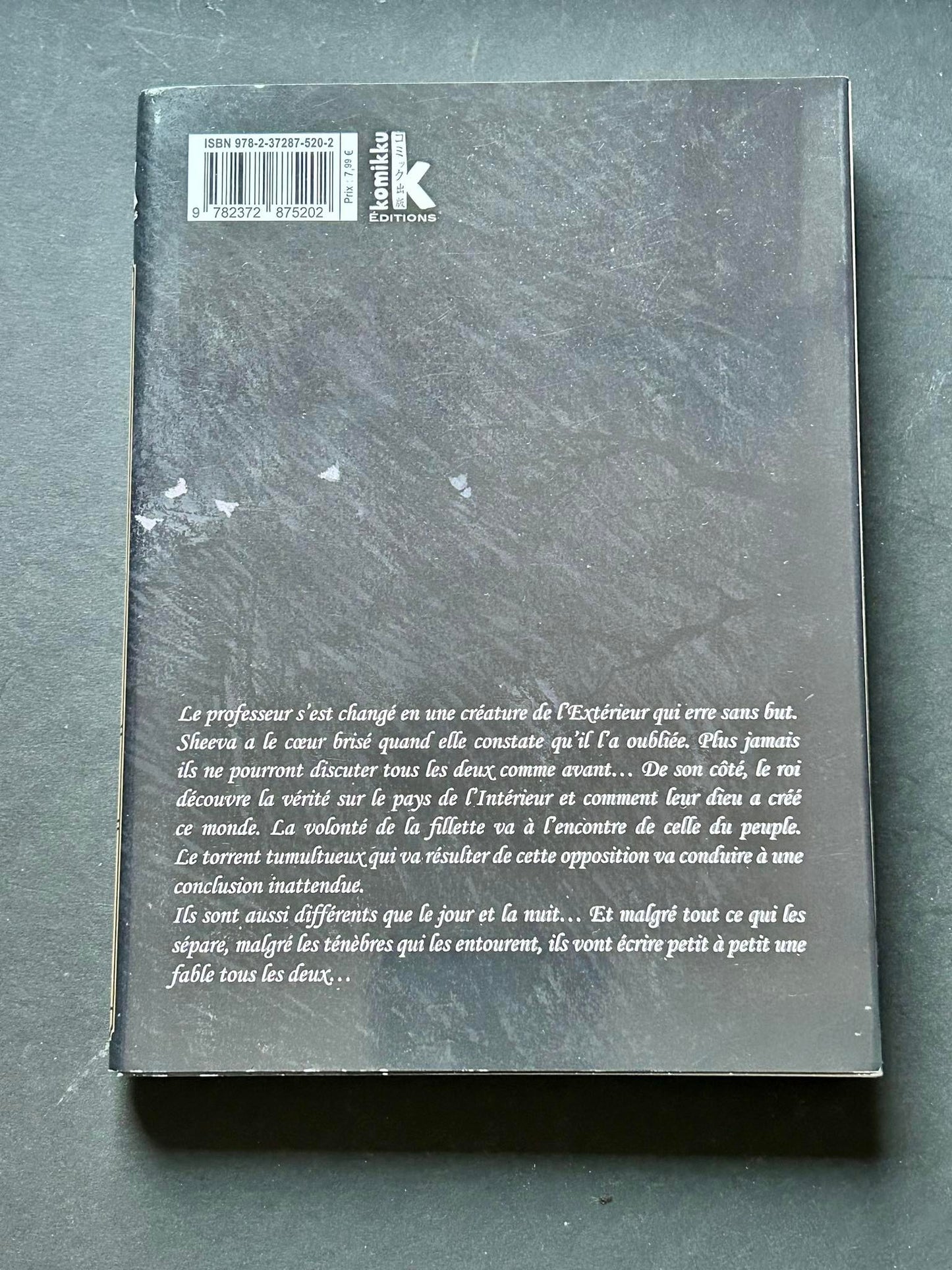 L'enfant et le maudit T9