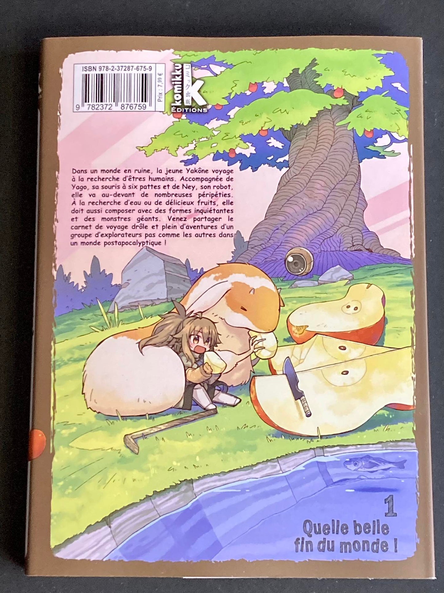 QUELLE BELLE FIN DU MONDE ! T01