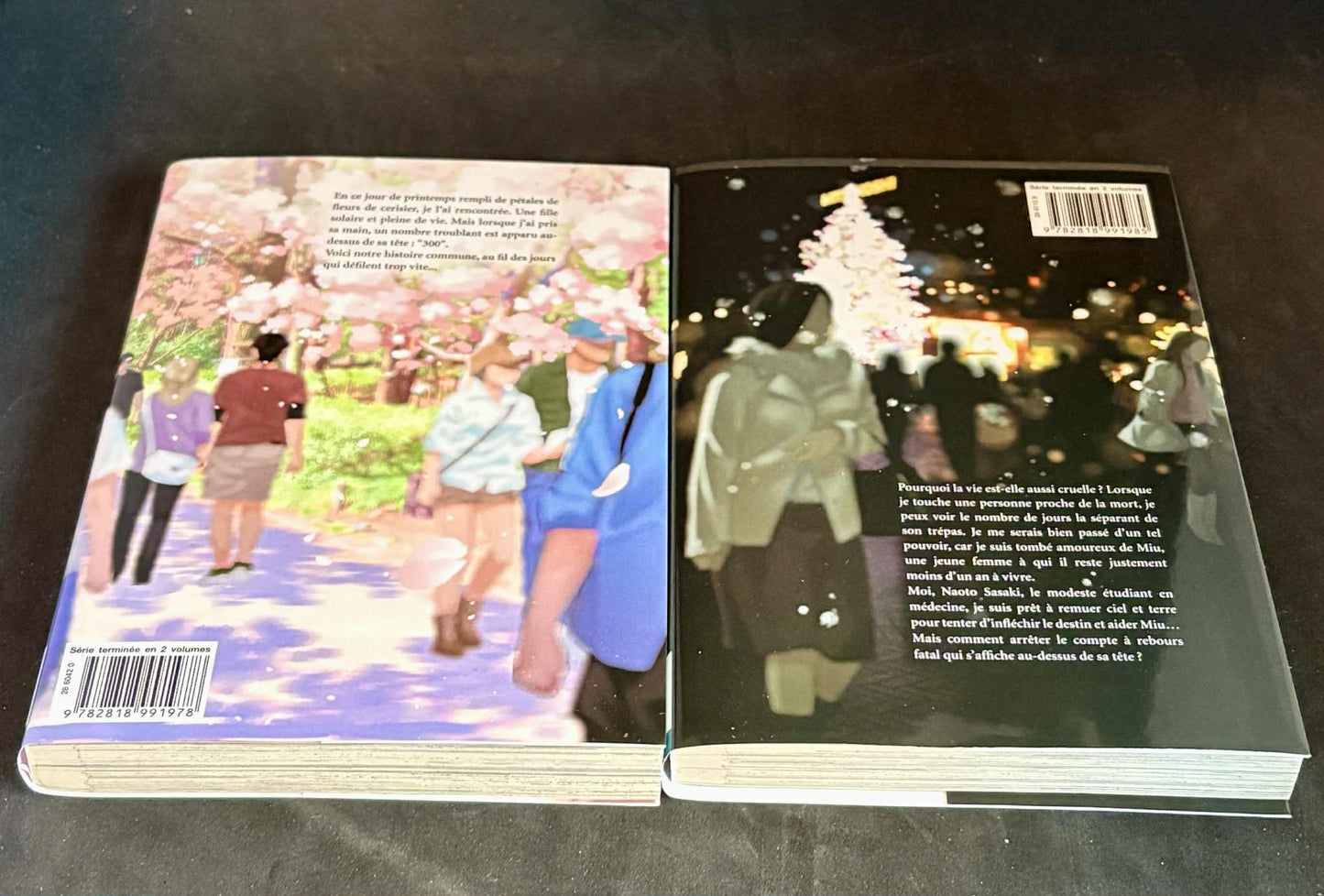 300 jours avec toi - vol. 01 et 02