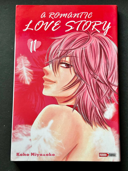 A romantic love story, tome 11