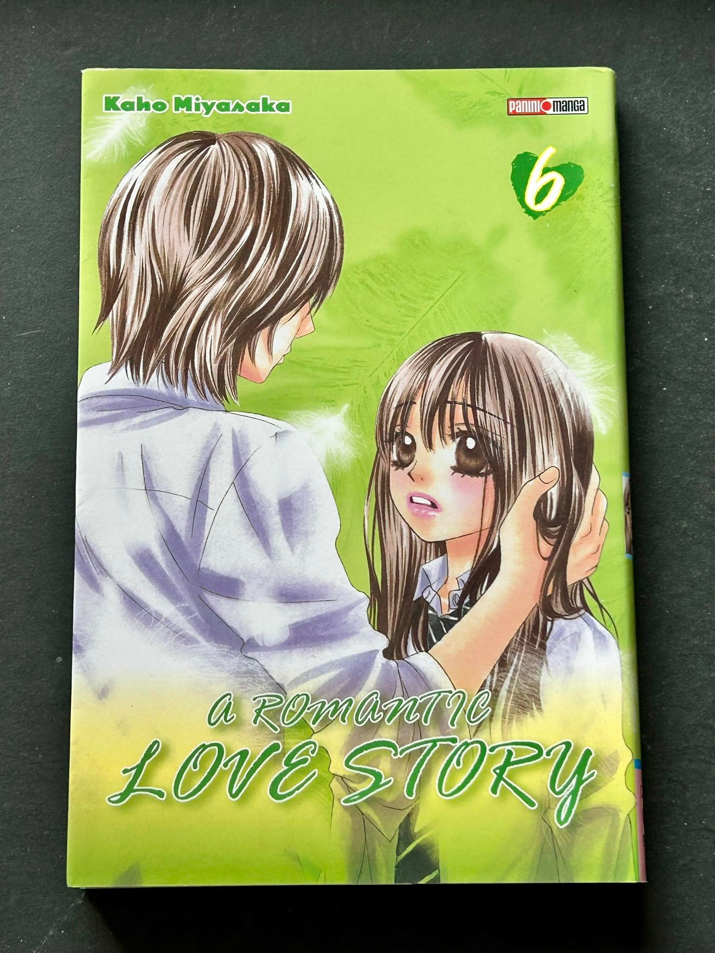 A romantic love story, tome 6