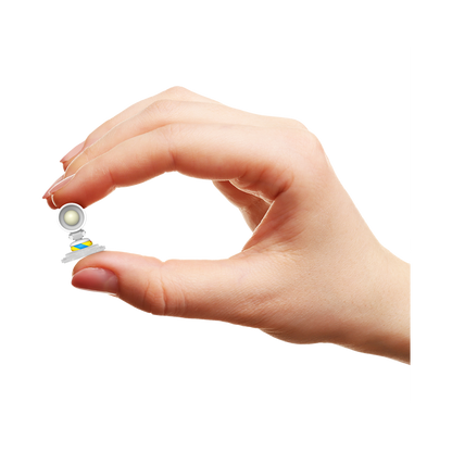 NEW GRAPPLER BAKI - VOLUME 04 - PERFECT EDITION