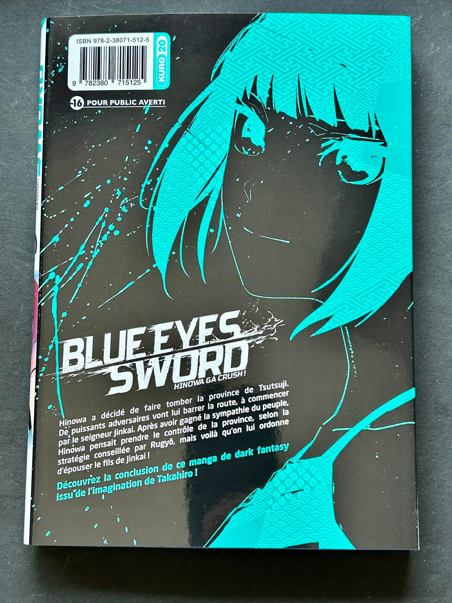 Blue Eyes Sword - Volume 08