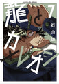 DRAGON & CAMELEON T07 PRECO > 05/06