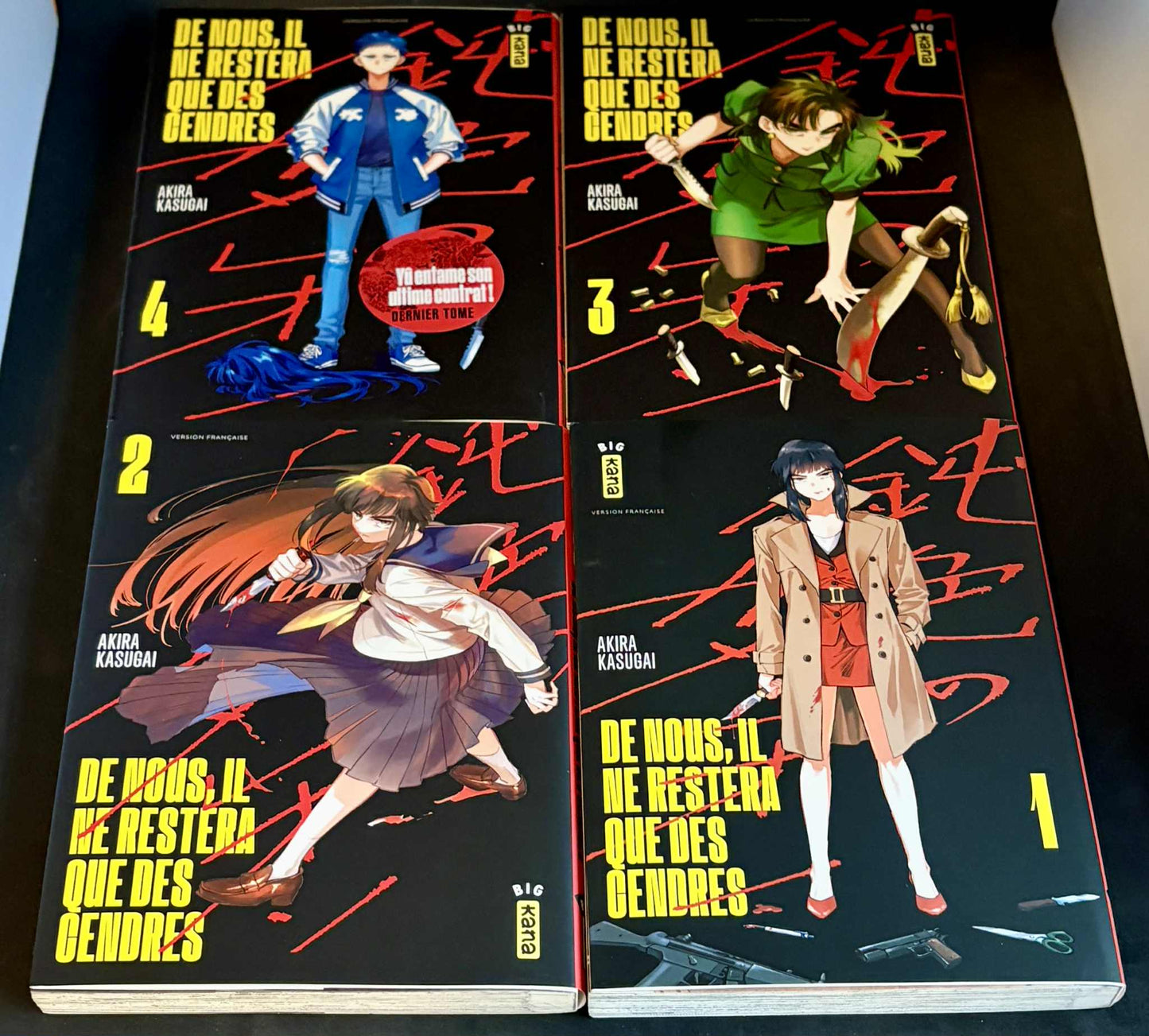 De nous, il ne restera que des cendres - Tome 1 à 4