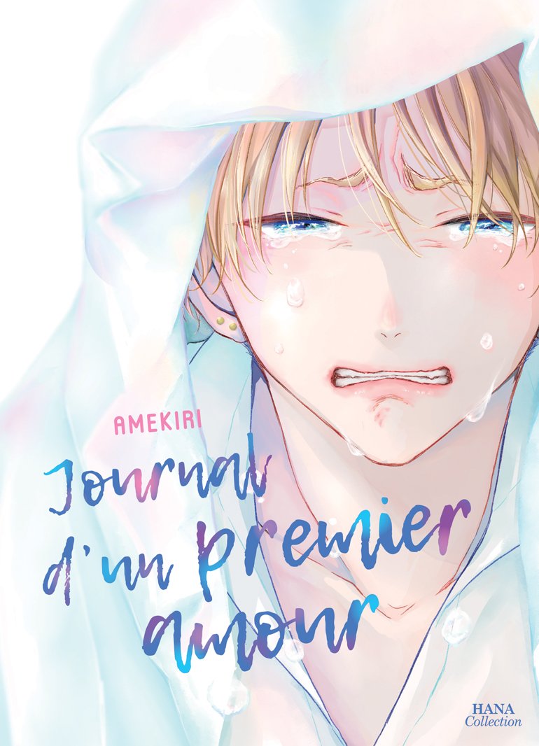 Journal d'un premier amour