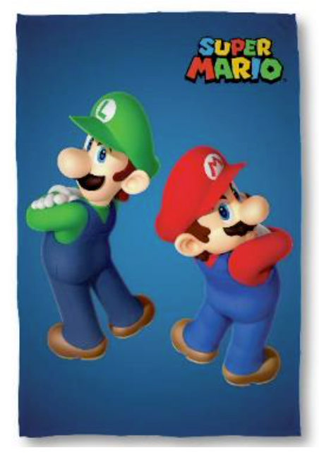 Nintendo - Super Mario - Mario and Luigi Polar Blanket 100 x 140cm