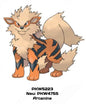 POKEMON - Arcanine - Peluche 30cm
