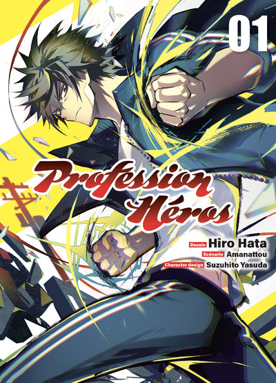 PROFESSION HEROS T01