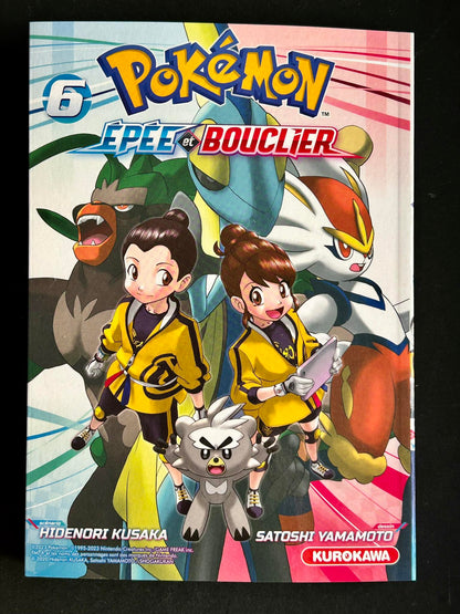 Pokémon Sword and Shield - T6