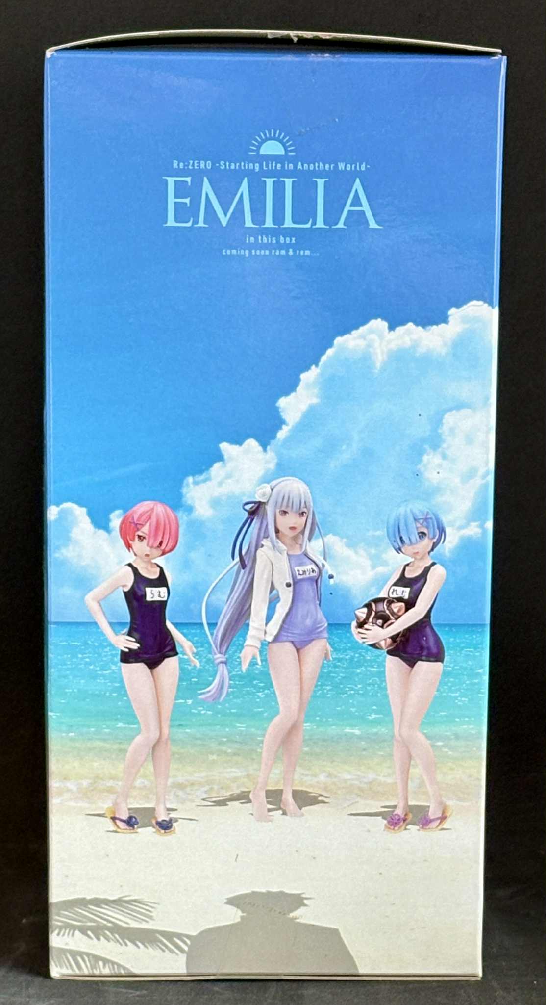 Re:Zero Starting life in another world Emilia