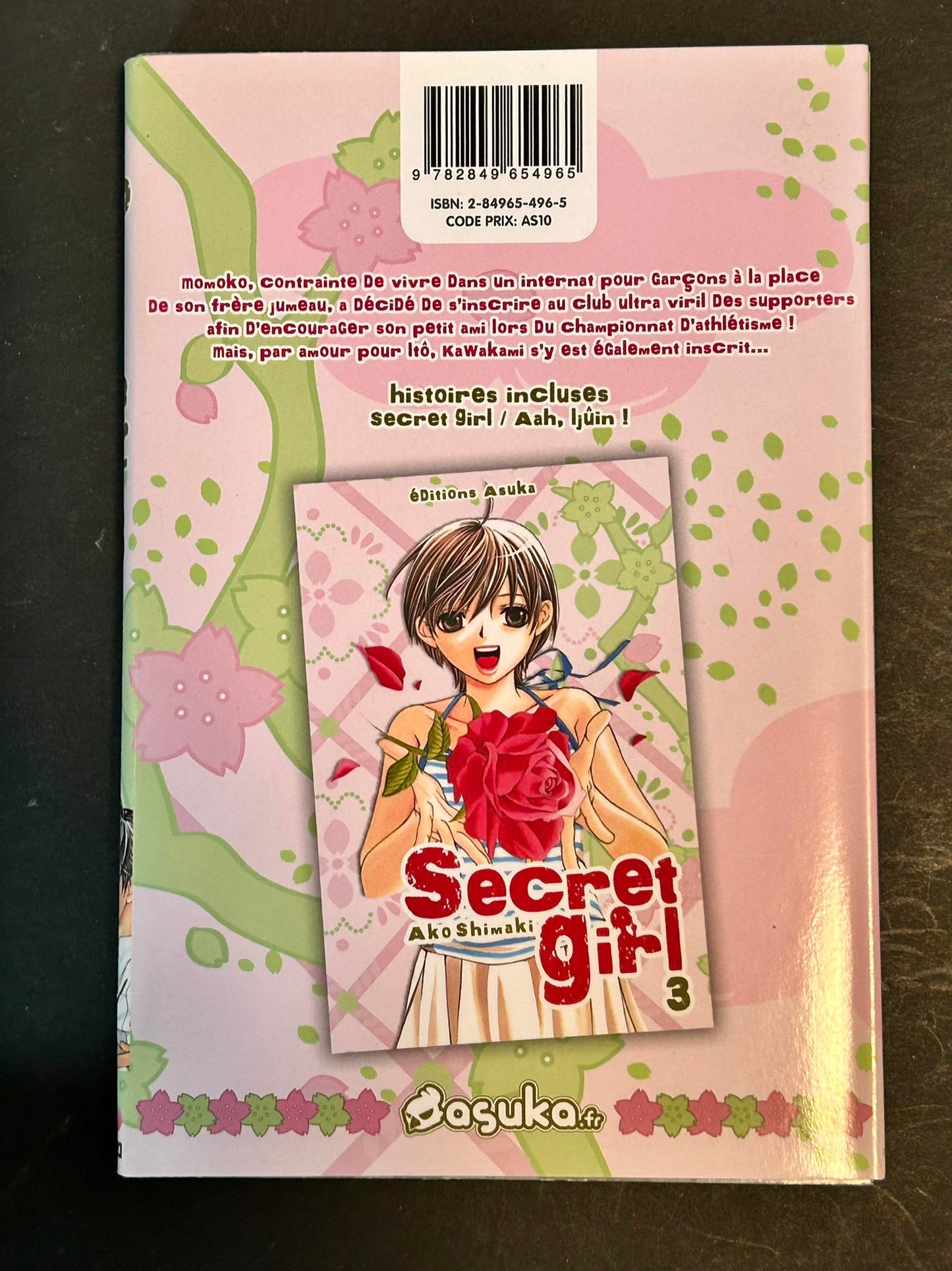 Secret Girl T3