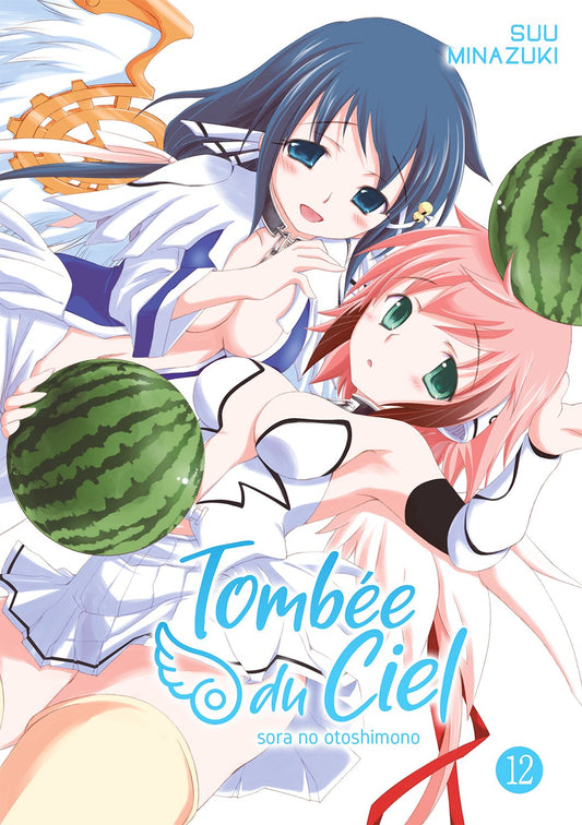 TOMBÉE DU CIEL - TOME 12