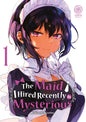 The maid i hired recently is mysterious - Tome 01