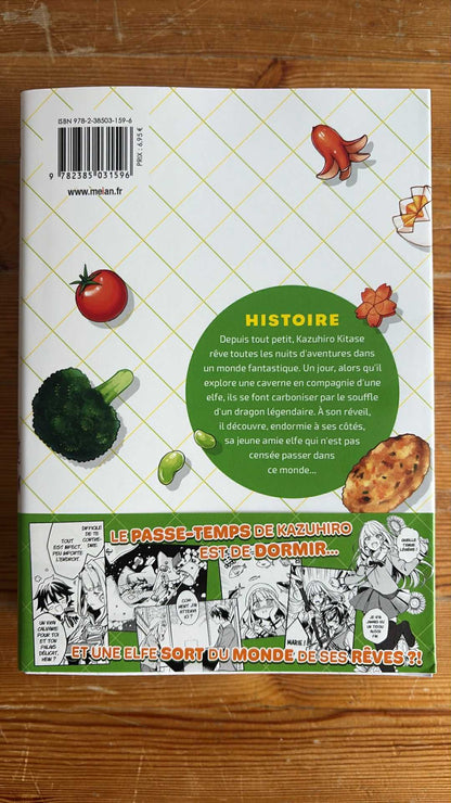 WELCOME TO JAPAN! ELFE DE MES RÊVES... - TOME 01