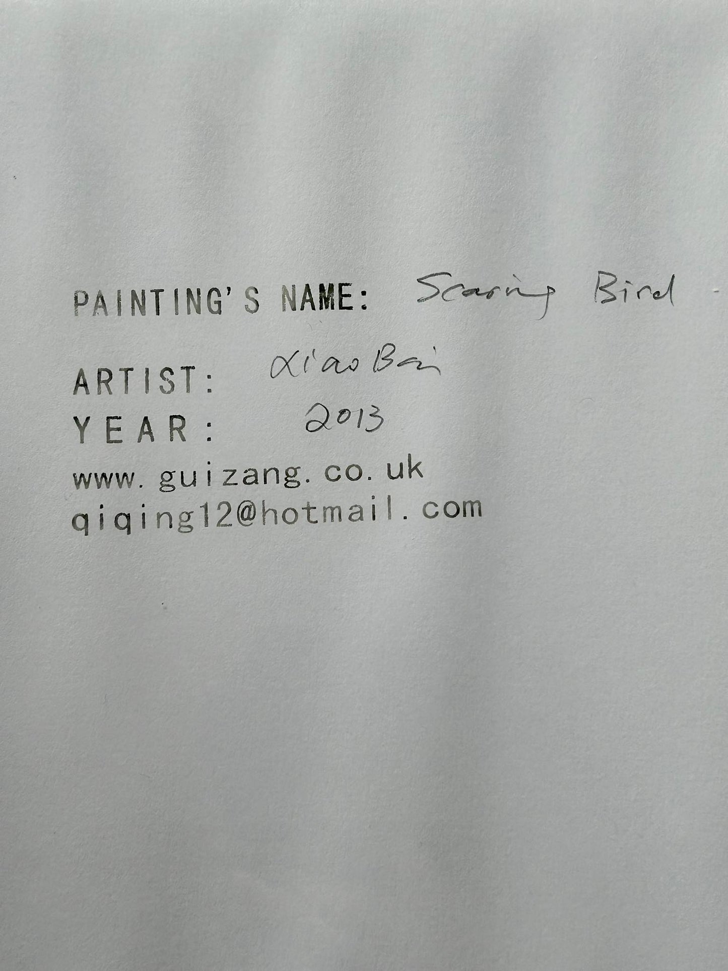Xiao Bai Art Scaring Bird 2013