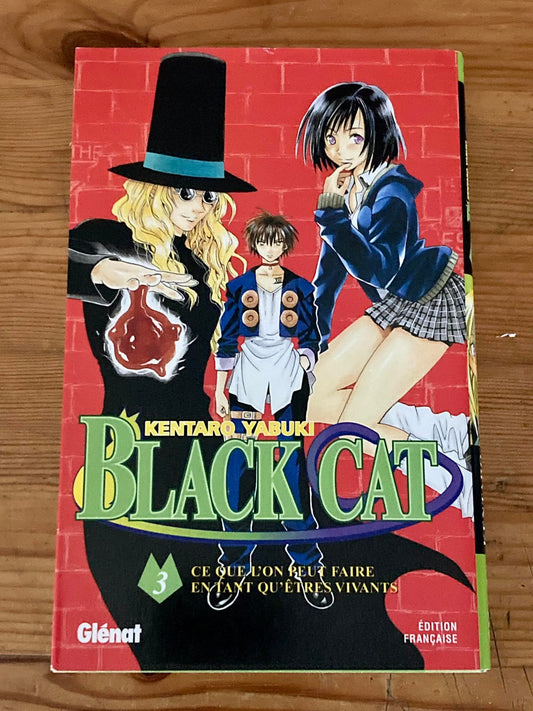 Zwarte Kat 3