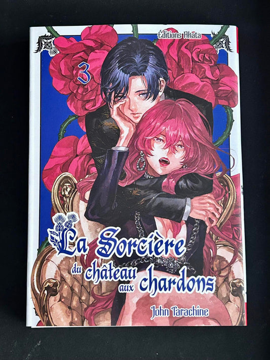 LA SORCIERE DU CHATEAU AUX CHARDONS - TOME 3