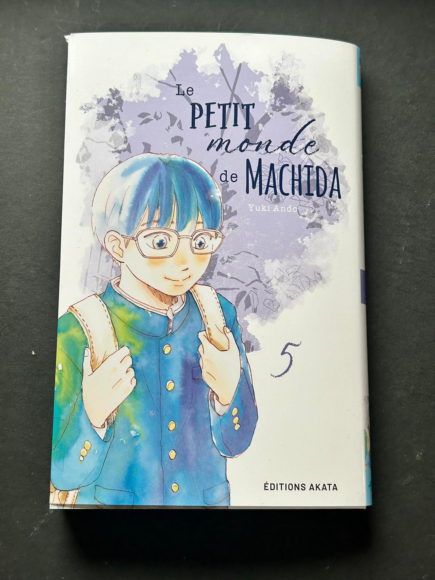 DE KLEINE WERELD VAN MACHIDA - TOME 5