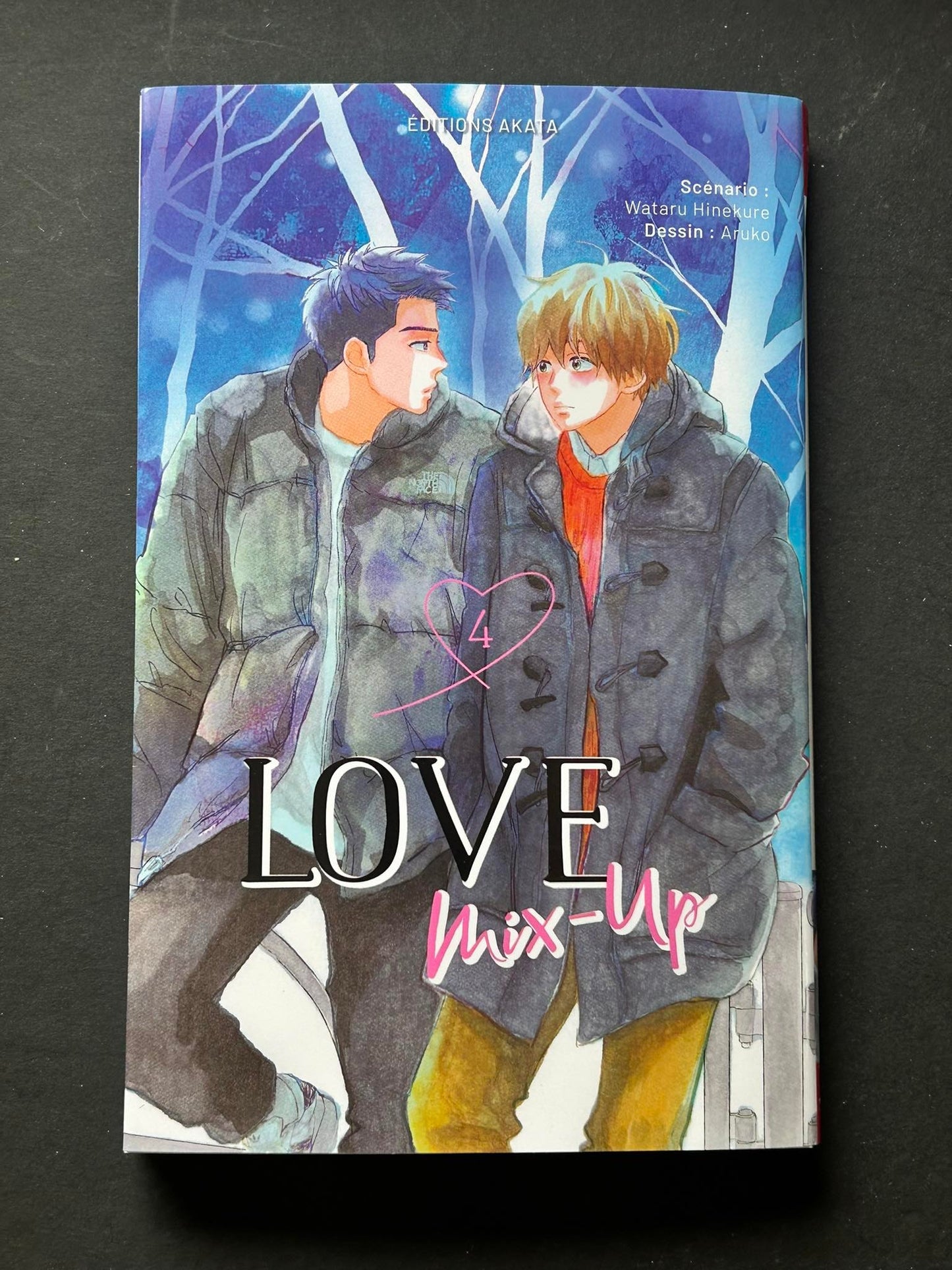 LIEFDE MIX-UP - TOME 4 (VF)