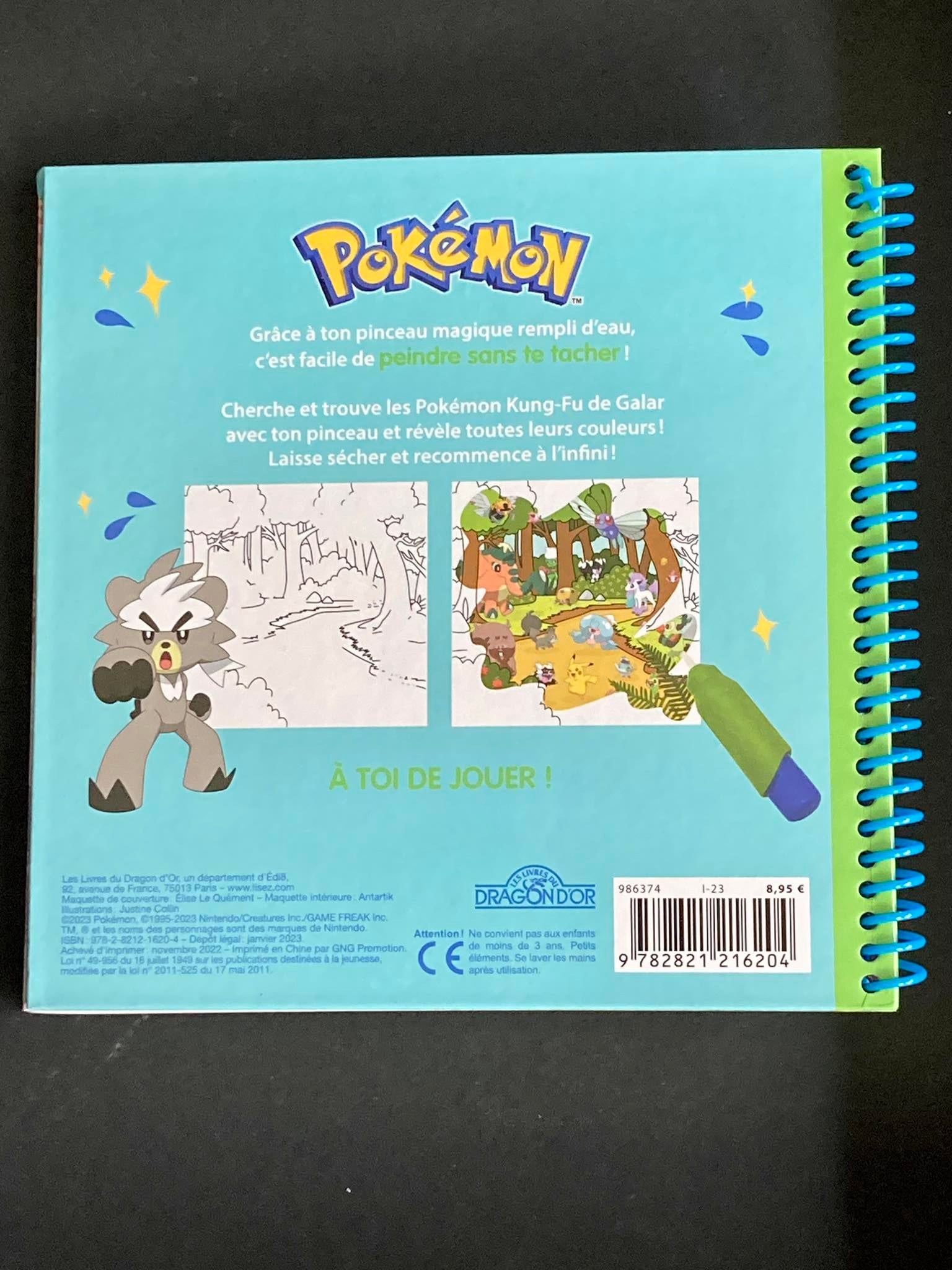 Pokémon - Pinceau magique - Les Pokémon Kung-Fu - The Pokémon Company -  Librairie L'Armitière